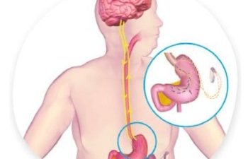 Neuroregulator brain to stomach signals.